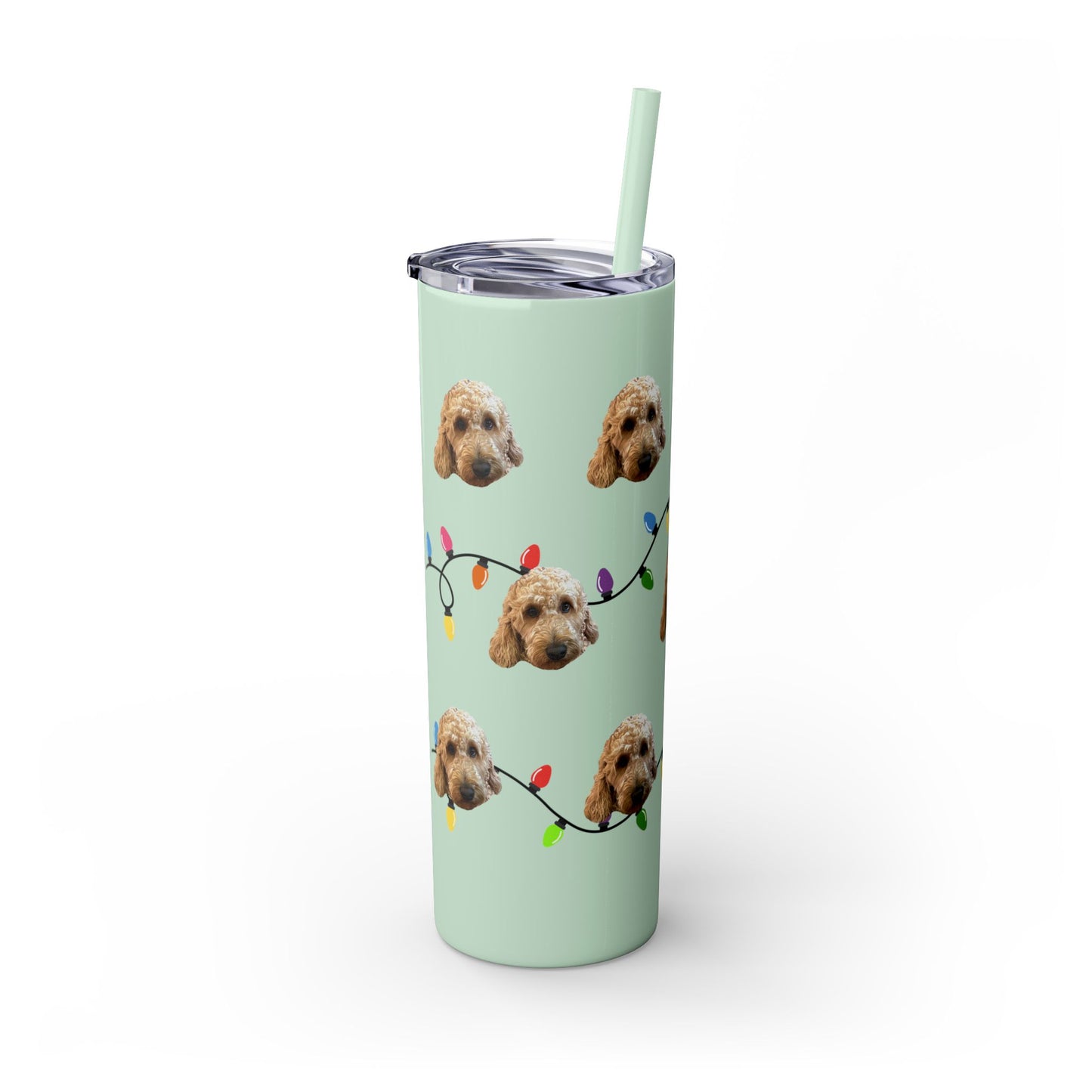 Skinny Tumbler with Straw, 20oz