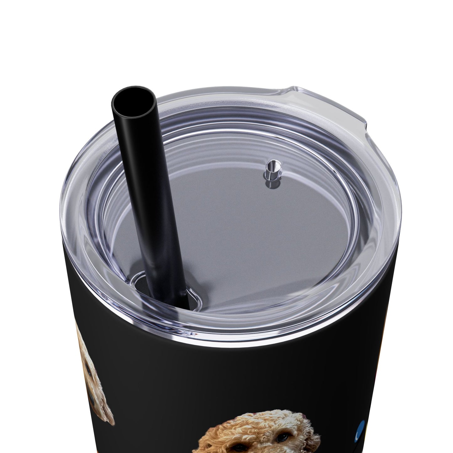 Skinny Tumbler with Straw, 20oz